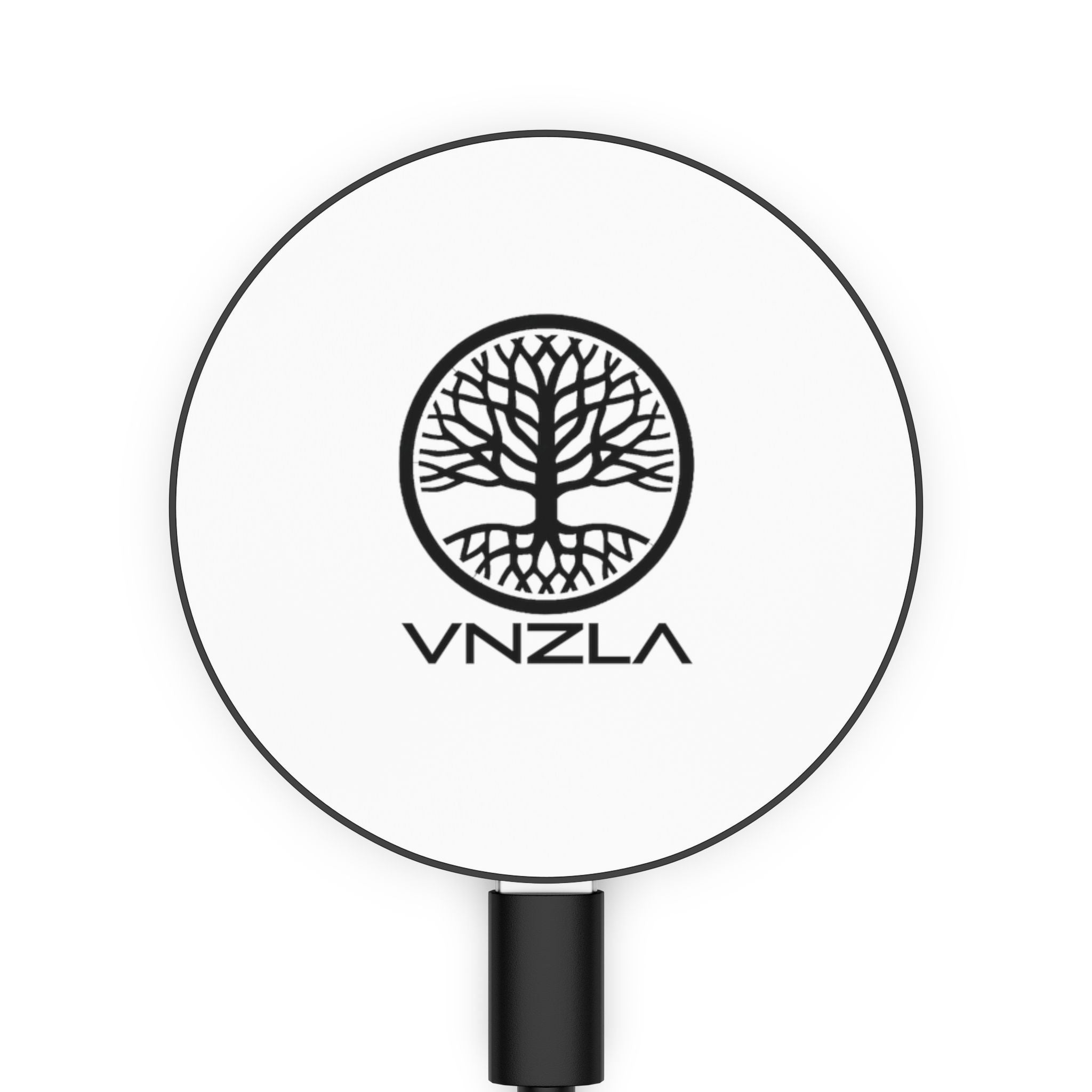 Magnetic Induction Charger