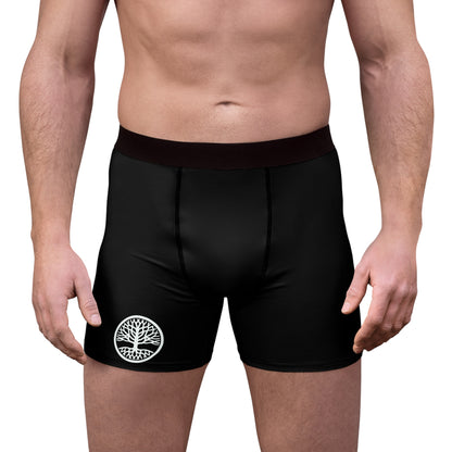 Men's Boxer Briefs (AOP)