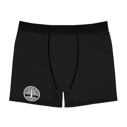 Men's Boxer Briefs (AOP)