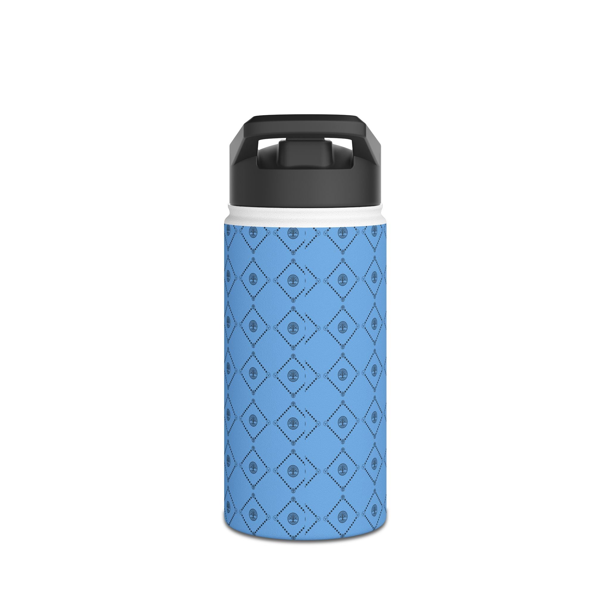 Stainless Steel Water Bottle, Standard Lid